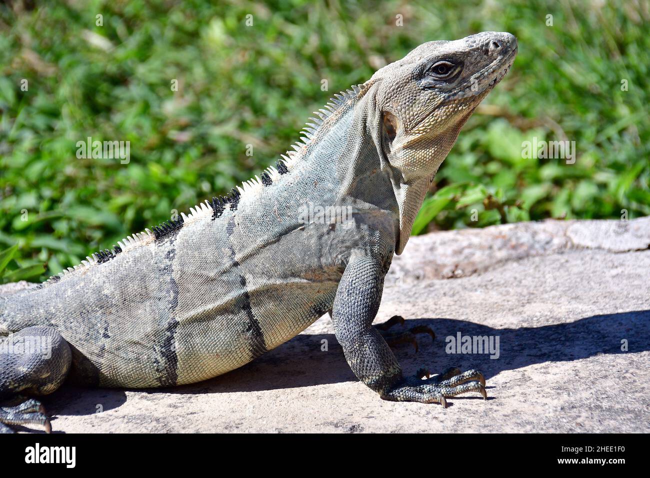 Lat 20 36124500 hi-res stock photography and images - Alamy