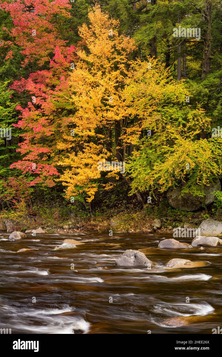 East Branch Sacandaga River in autumn, Adirondack Park, Hamilton County, New York Stock Photo