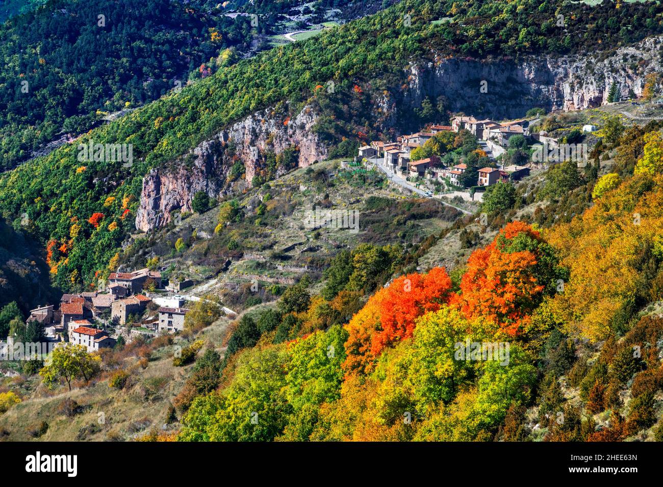 Forest on autumn near Castellar de N'Hug village in Berguedà, Catalonia, Spain, Pyrenees Stock Photo