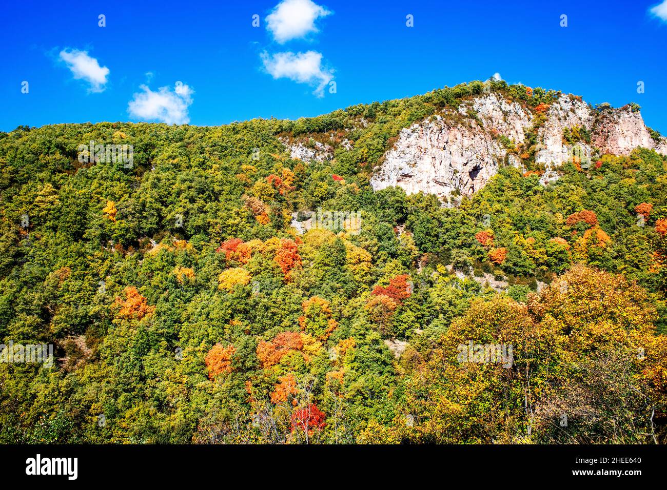 Forest on autumn near Castellar de N'Hug village in Berguedà, Catalonia, Spain, Pyrenees Stock Photo
