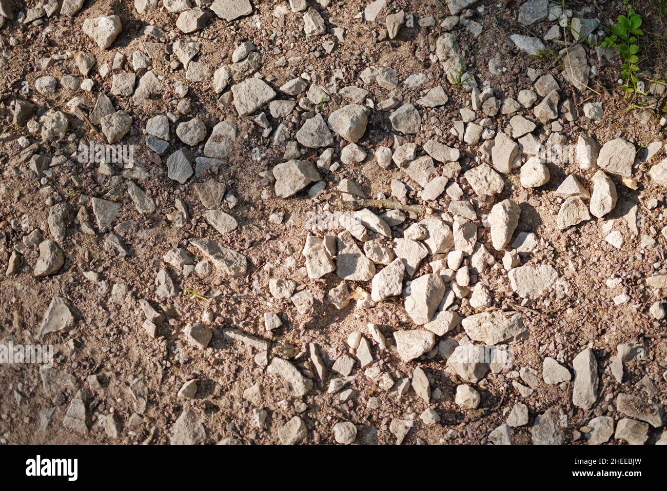 Dry sand soil fragment hi-res stock photography and images - Alamy