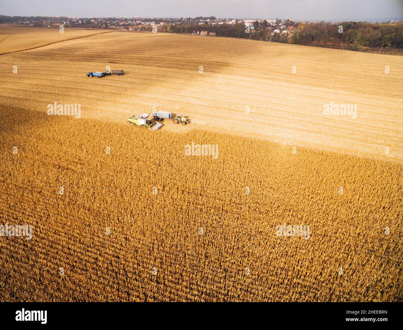 Harvesting Corn in the Green Big Field. Aerial View over Automated ...