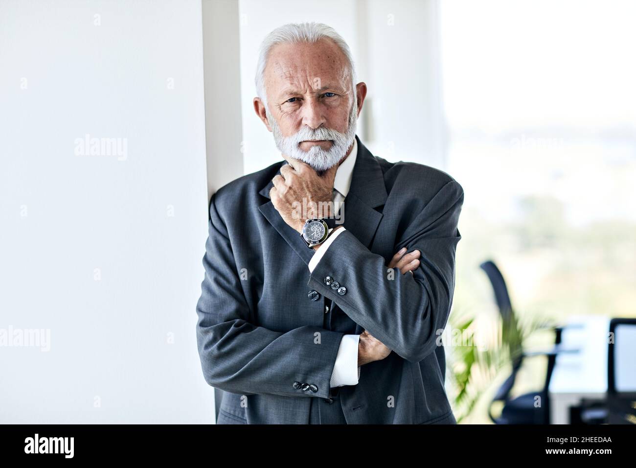 senior businessman portrait office executive Stock Photo Alamy