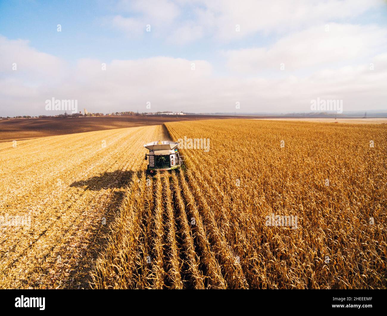 Harvesting Corn in the Green Big Field. Aerial View over Automated ...