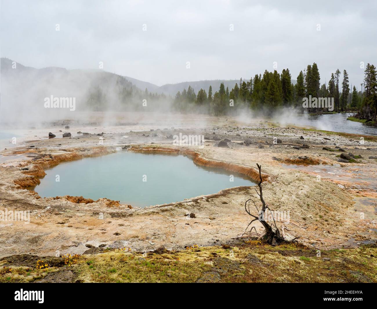 Geothermal mud pot in Biscuit Basin in Yellowstone National Park, Wyoming. Stock Photo