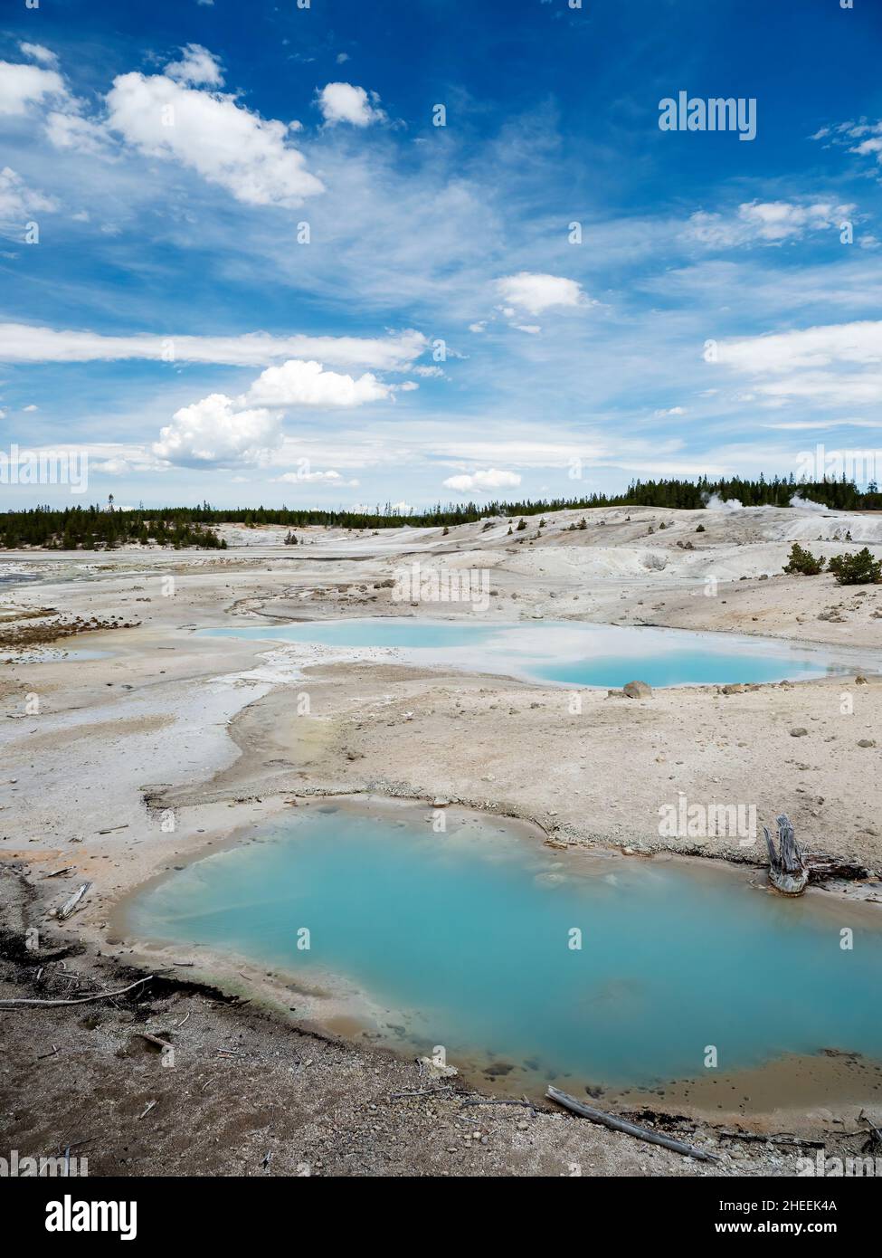 Porcelain Basin, in the Norris Geyser Basin area, Yellowstone National Park, Wyoming, USA. Stock Photo