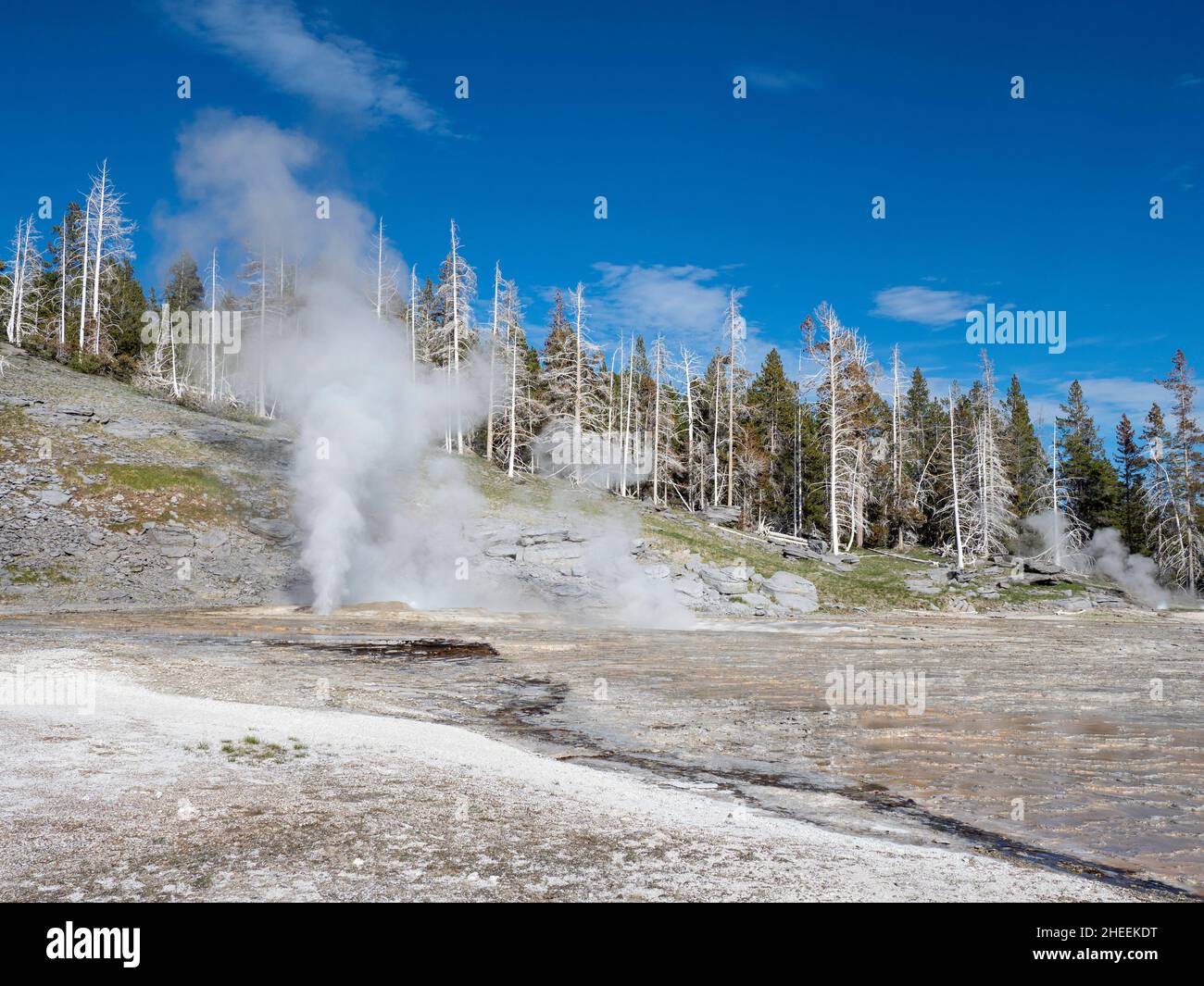 Grand Geyser, in the Norris Geyser Basin area, Yellowstone National Park, Wyoming, USA. Stock Photo