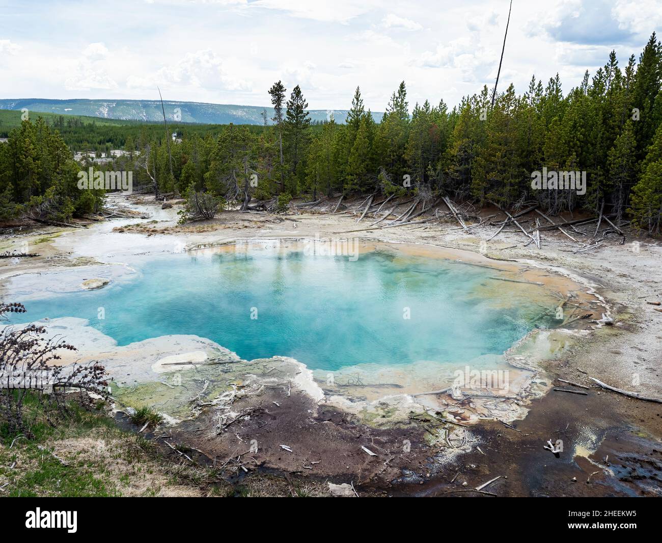 Emerald Spring, in the Norris Geyser Basin area, Yellowstone National Park, Wyoming, USA. Stock Photo