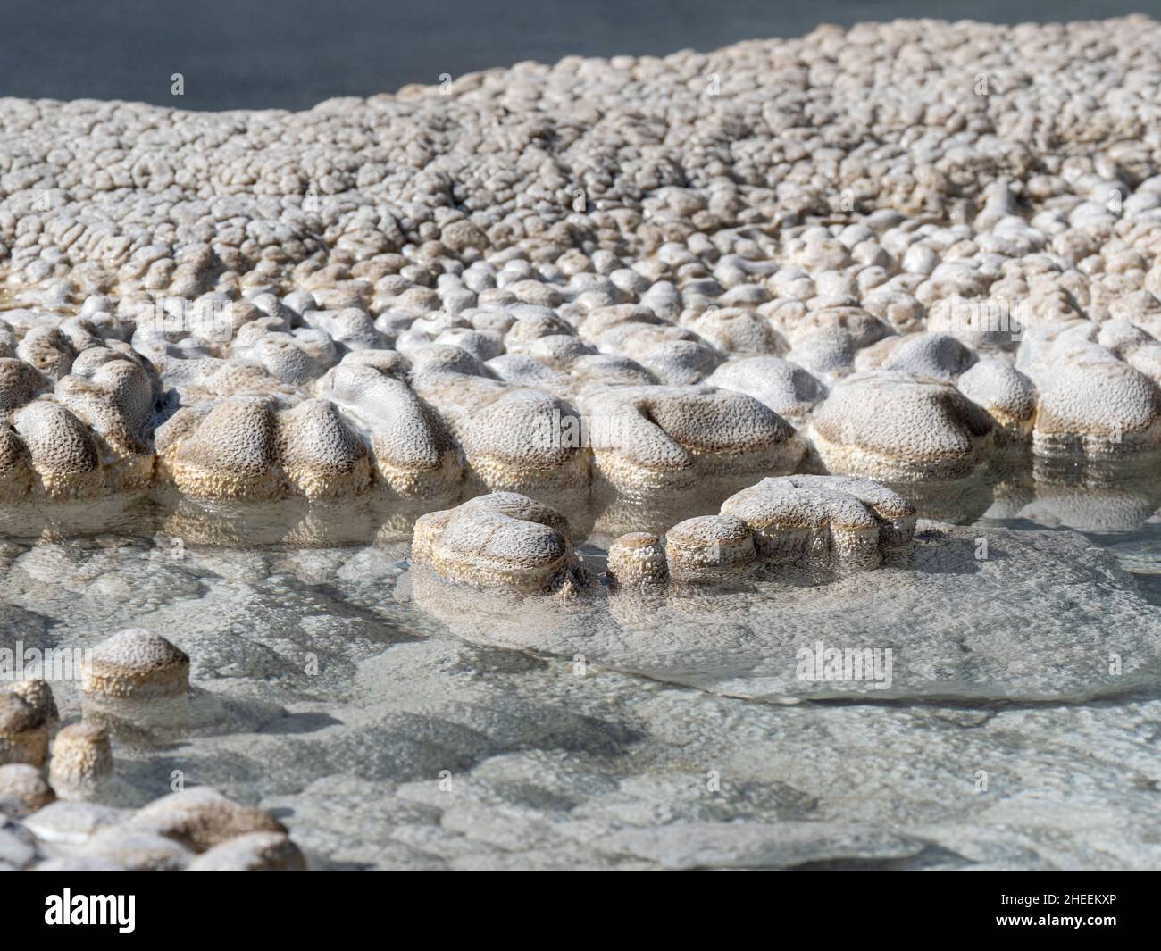 Detail of the Solitary Geyser, in the Norris Geyser Basin area, Yellowstone National Park, Wyoming, USA. Stock Photo