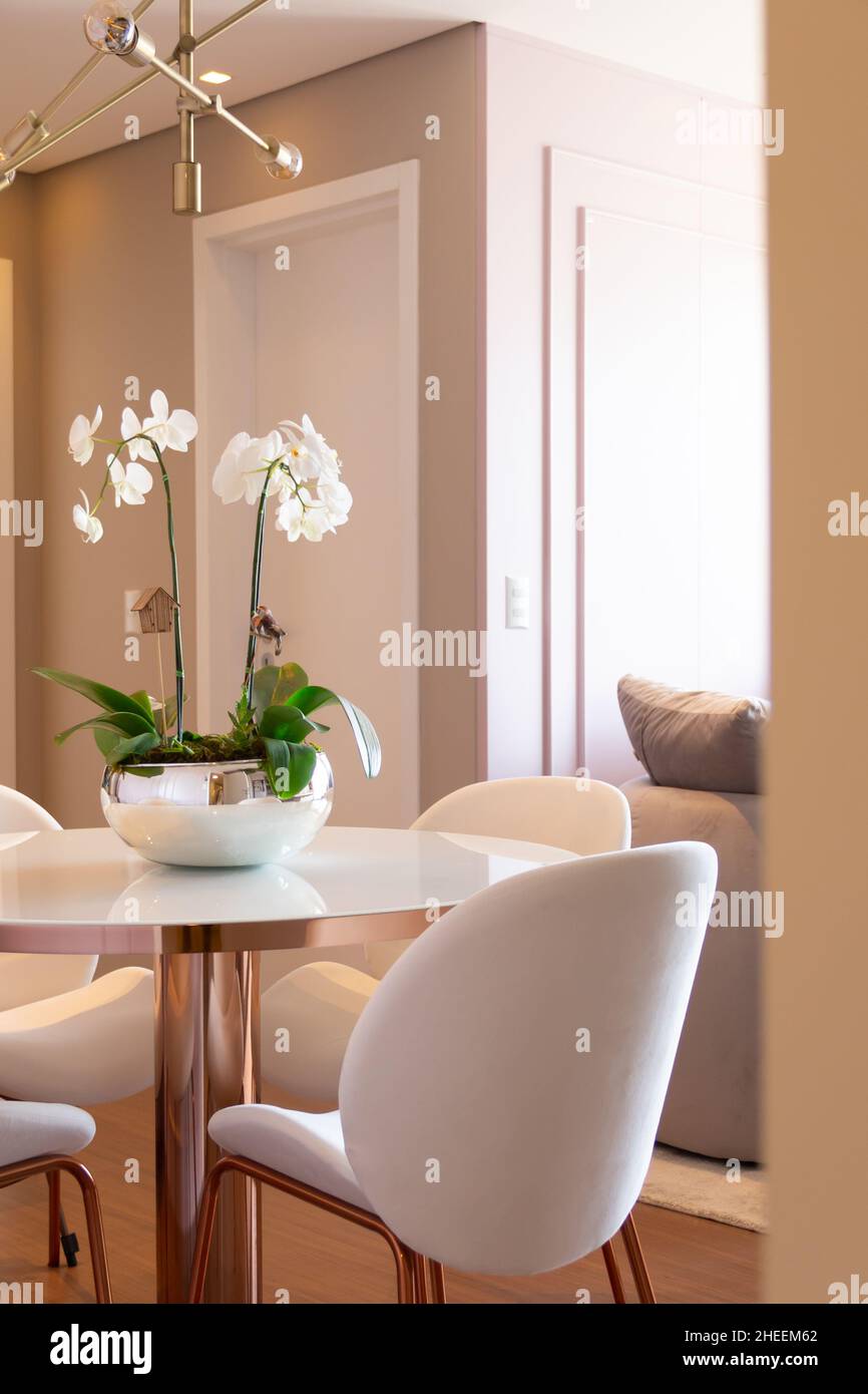 Modern chairs placed around round table decorated with potted orchid under stylish lamp in luxurious apartment Stock Photo