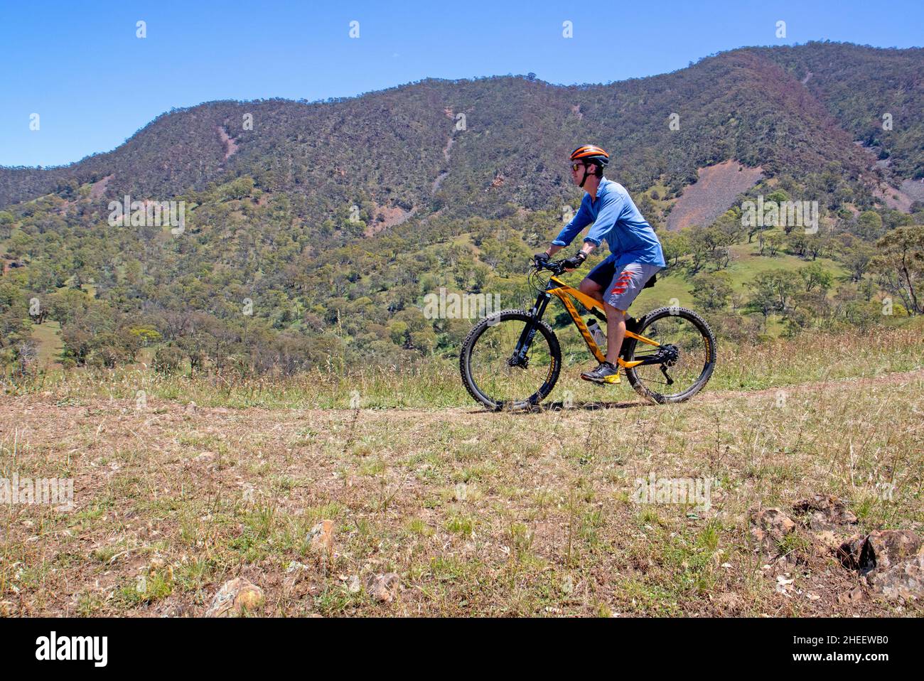 Mountain biking on Edge Loop at Melrose Stock Photo Alamy