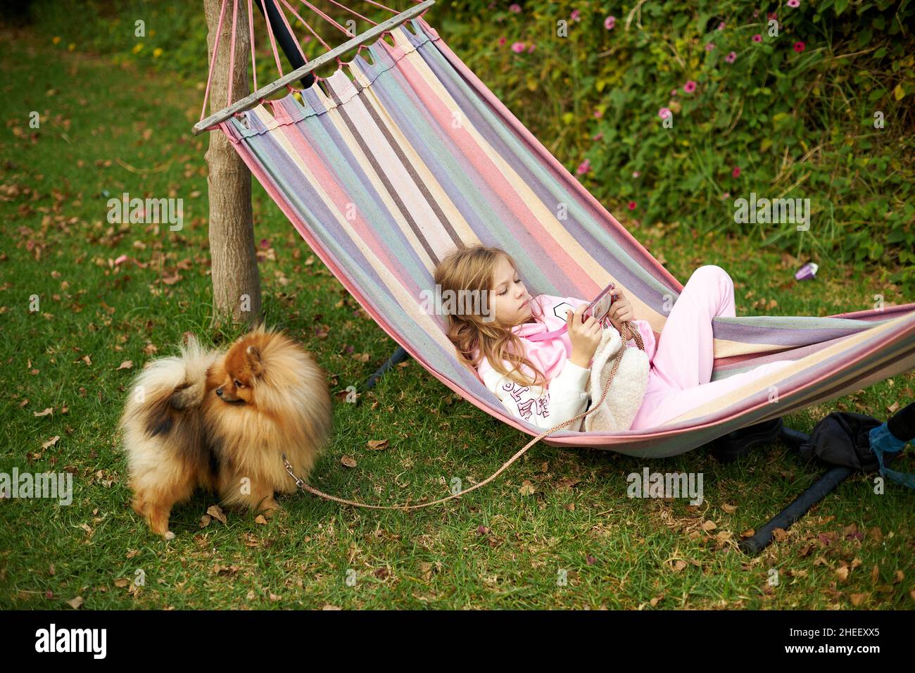 Child girl lying in a hammock and playing games on a smartphone in the summer Stock Photo