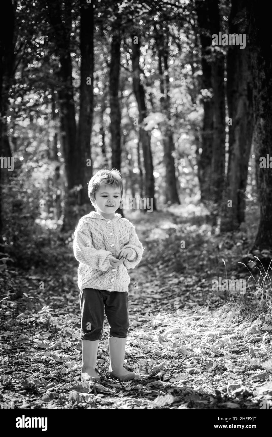 Meet fall season. Forest school is outdoor education delivery model in which students visit natural spaces. Boy in rubber boots walking in forest. Cut Stock Photo