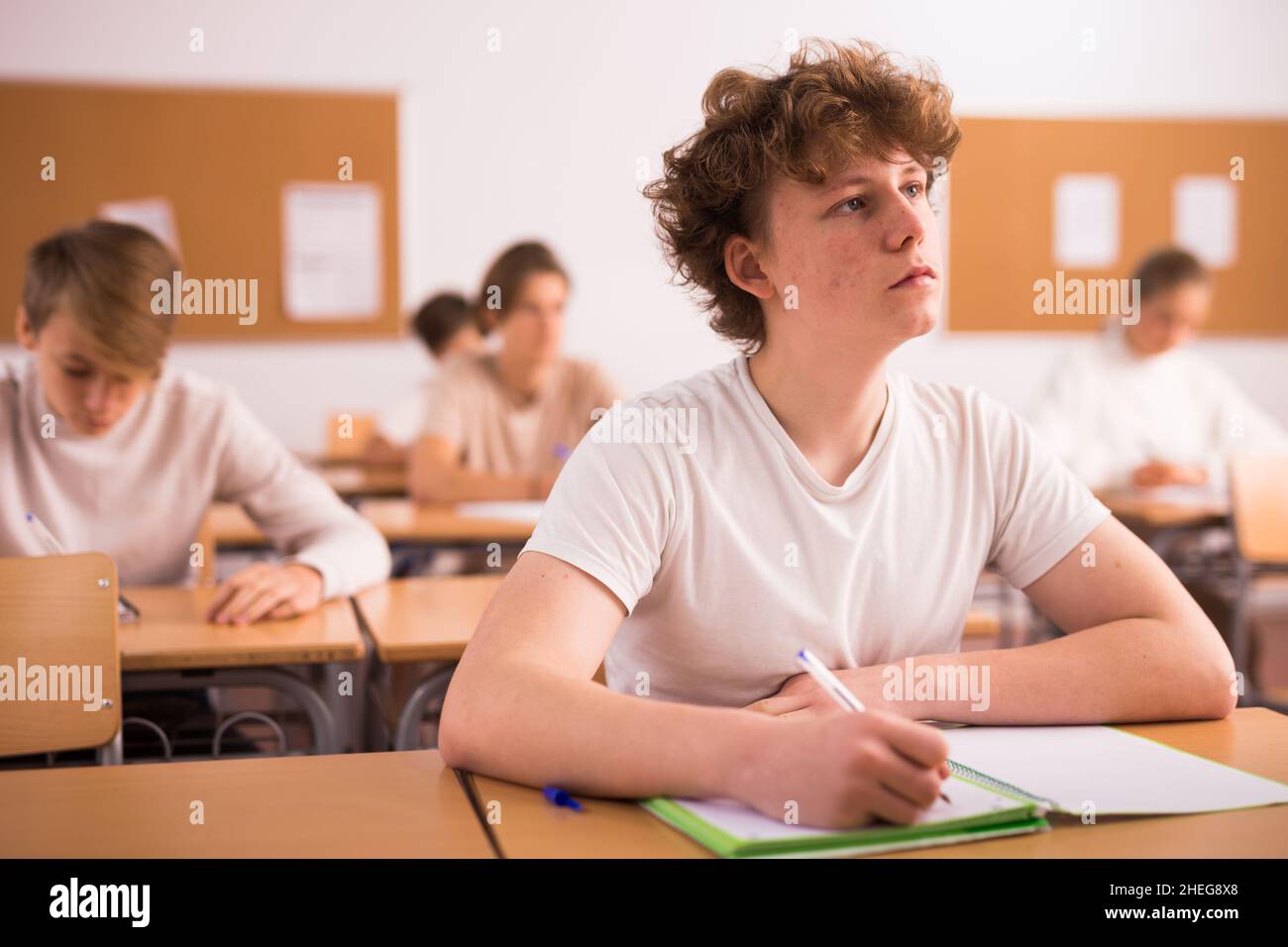 Schoolboy posing in classroom during lesson Stock Photo Alamy