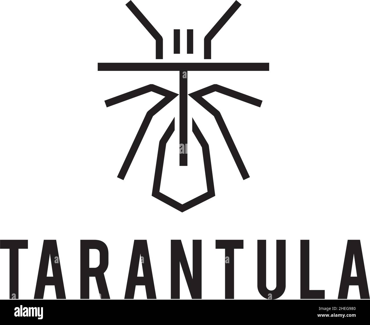 Outline art tarantula vector logo design Stock Vector