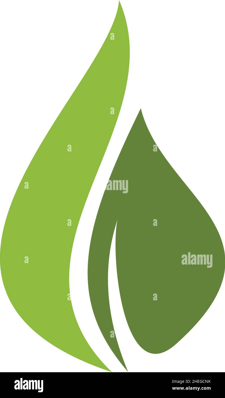 Green natural leaf icon vector logo design Stock Vector