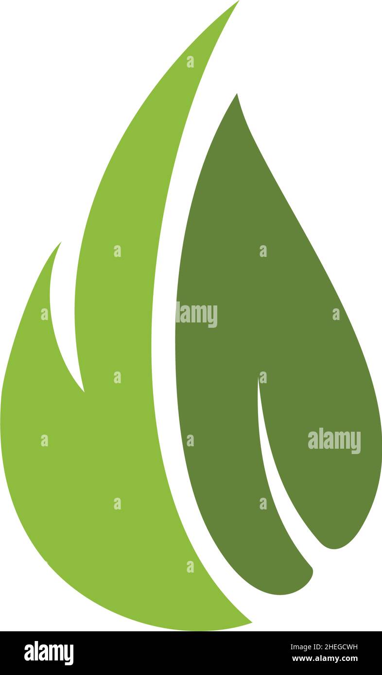 Green natural leaf icon vector logo design Stock Vector