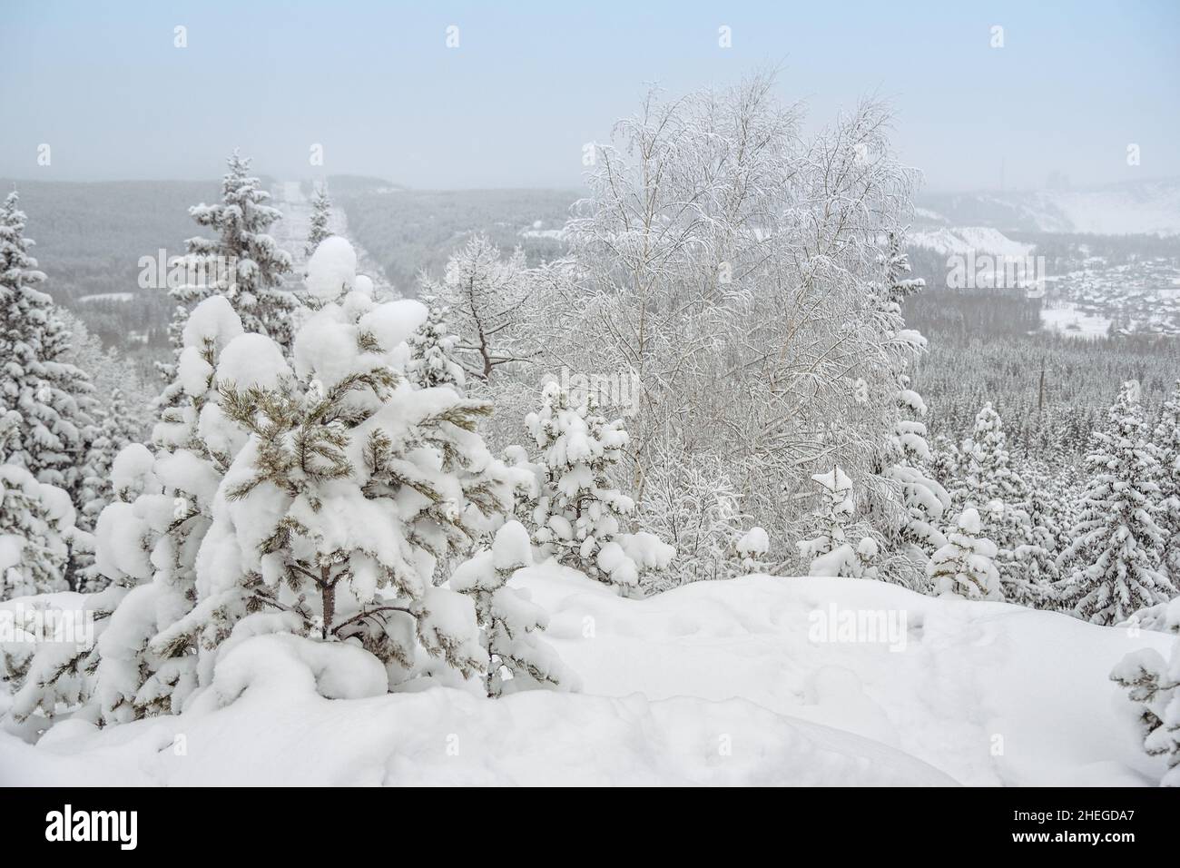 View winter forest from mountain hi-res stock photography and images ...