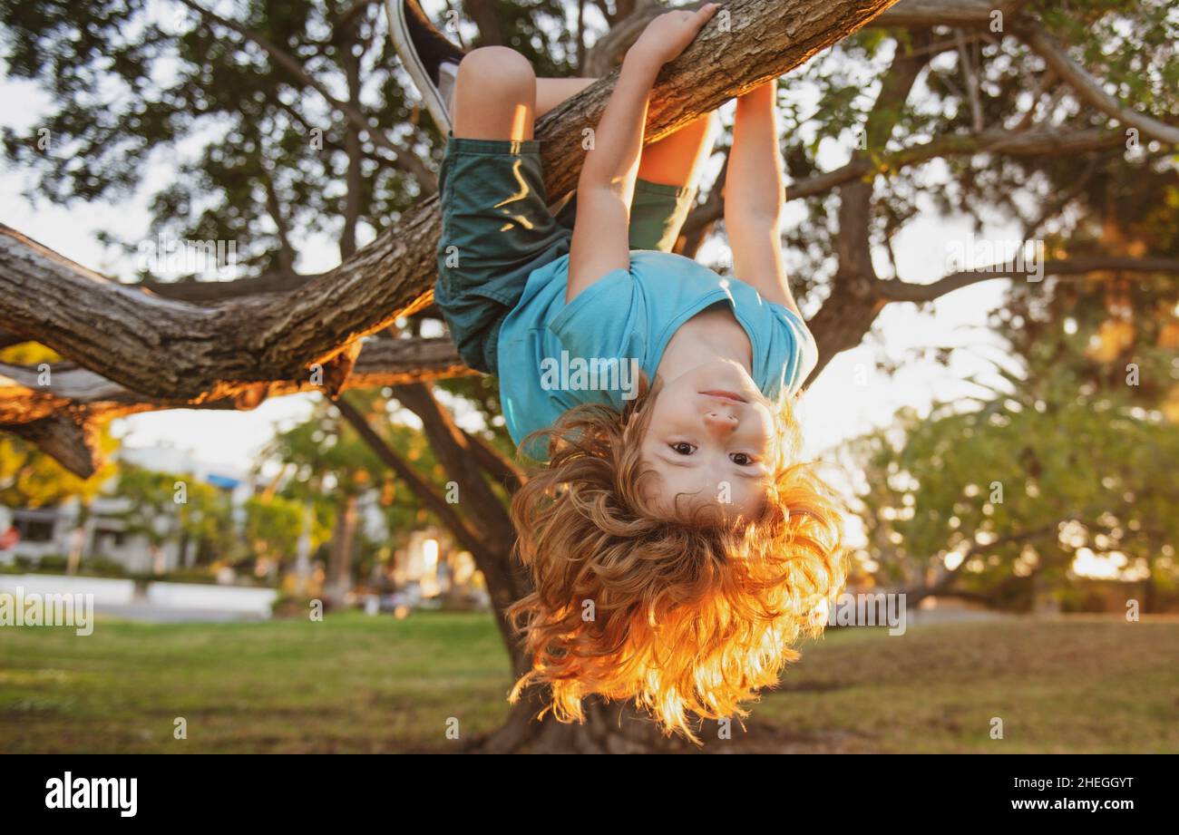 Little kid on a tree branch. Climbing and hanging child. Portrait of a beautiful kid in park among trees. Extreme kid sport. Child climbs a tree. Stock Photo