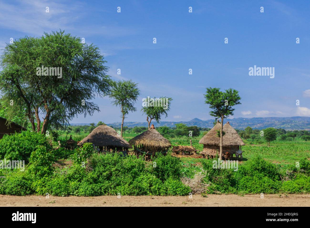 Panoramic View to the Tribal Wooden Dwellings among Green Grass and