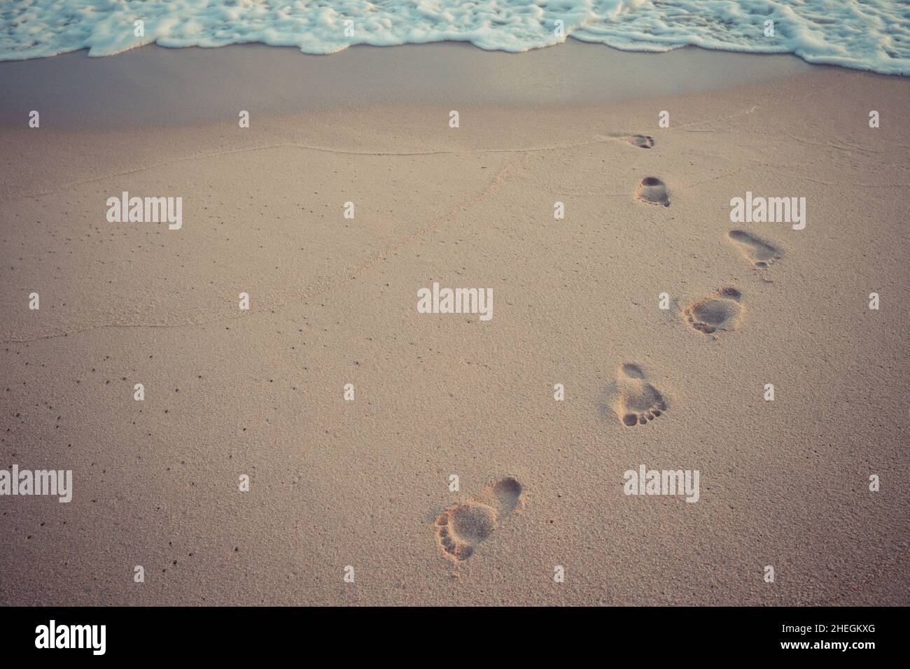 foot print in the sand at the beach background Stock Photo Alamy