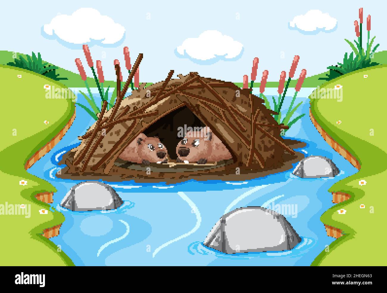 Forest scene with beavers live in dam illustration Stock Vector Image
