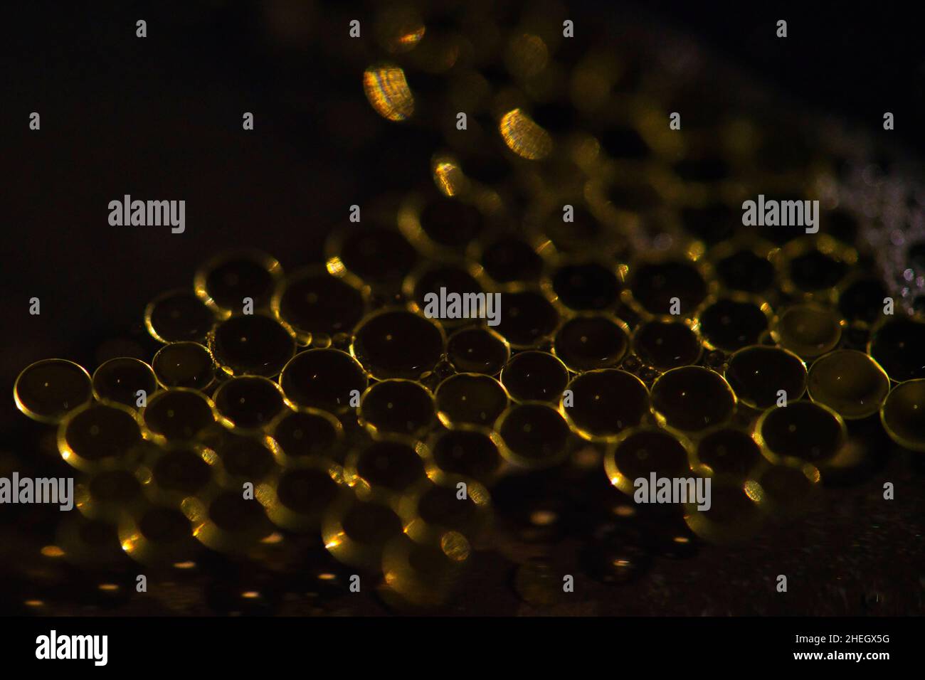 Oil drops on a water surface with dark background Stock Photo