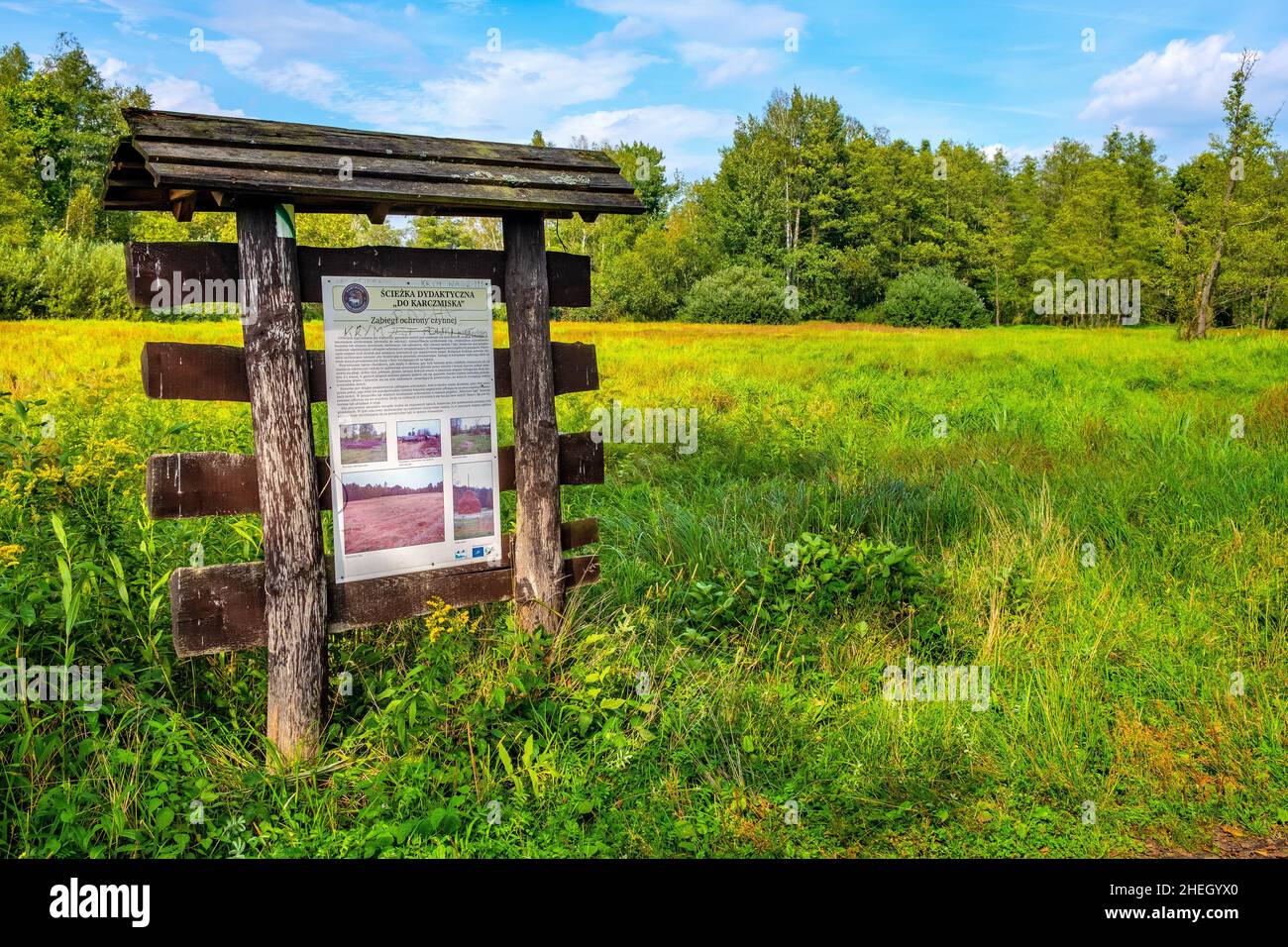 Warsaw, Poland - September 20, 2020: Summer landscape of Puszcza Kampinoska Forest National Park with educational guide board in Truskaw village Stock Photo