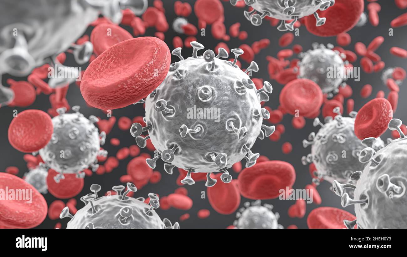 COVID19 Corona virus with spike glycoprotein are floating on bloodstream with red blood cells in vascular . 3D rendering . Stock Photo