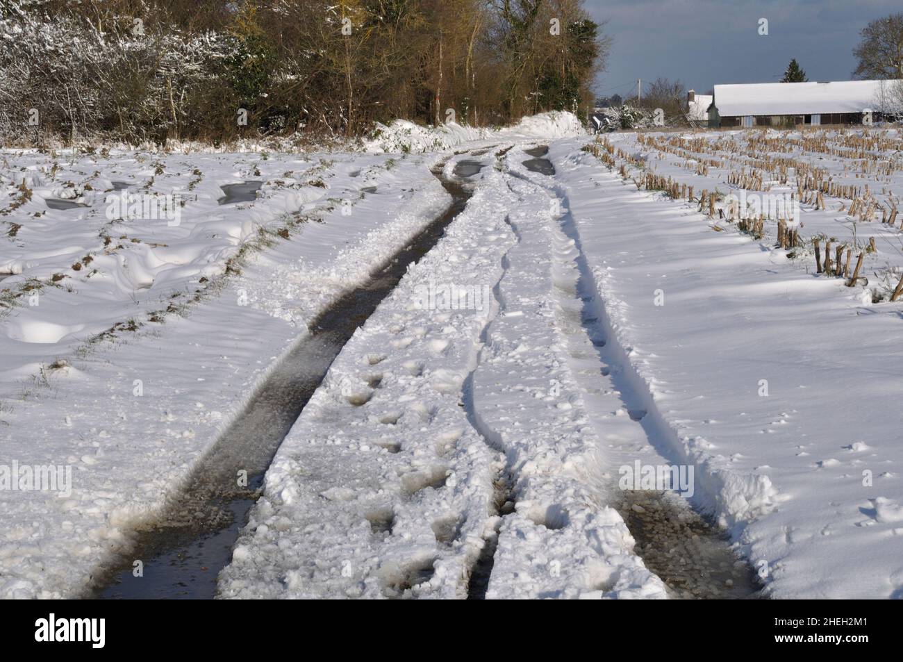 Path under the snow in Brittany Stock Photo Alamy