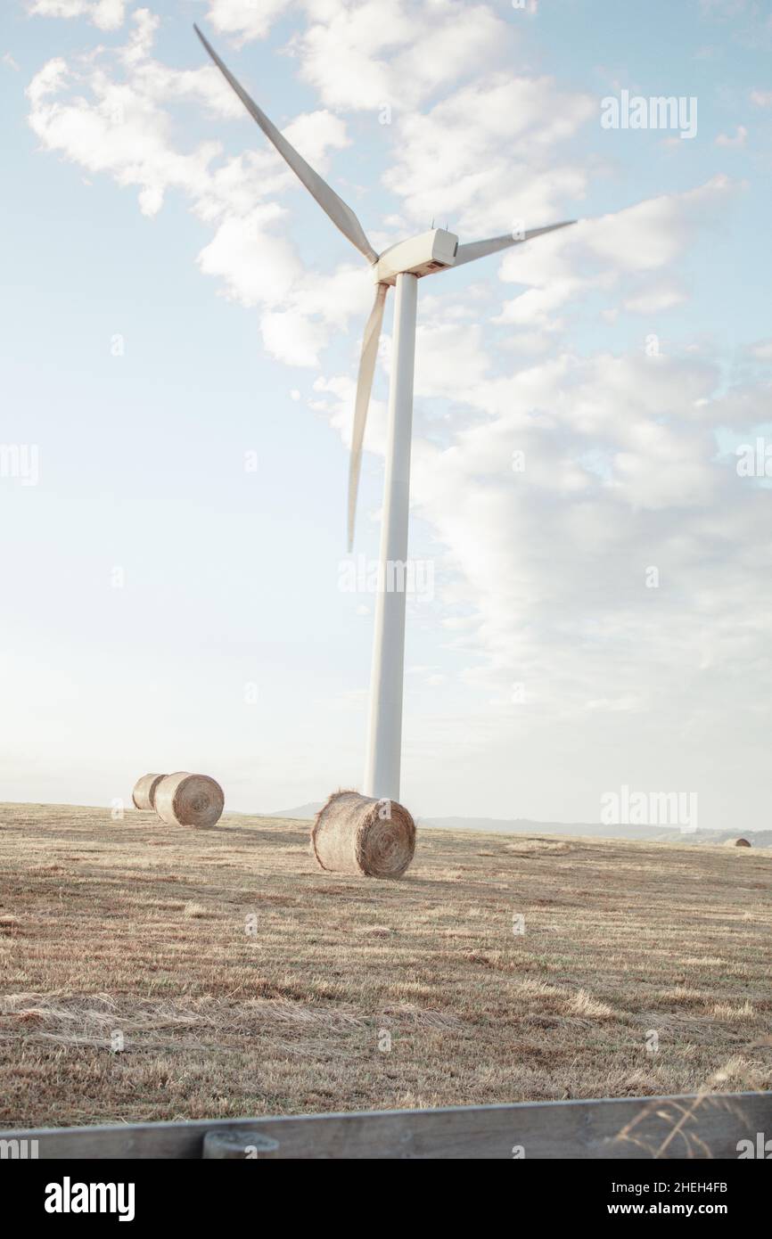 The sustainable energy source is getting popular day by day as government and privately own businesses step forward to help the industry to develop. Stock Photo