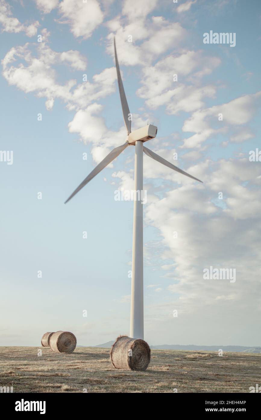 The sustainable energy source is getting popular day by day as government and privately own businesses step forward to help the industry to develop. Stock Photo