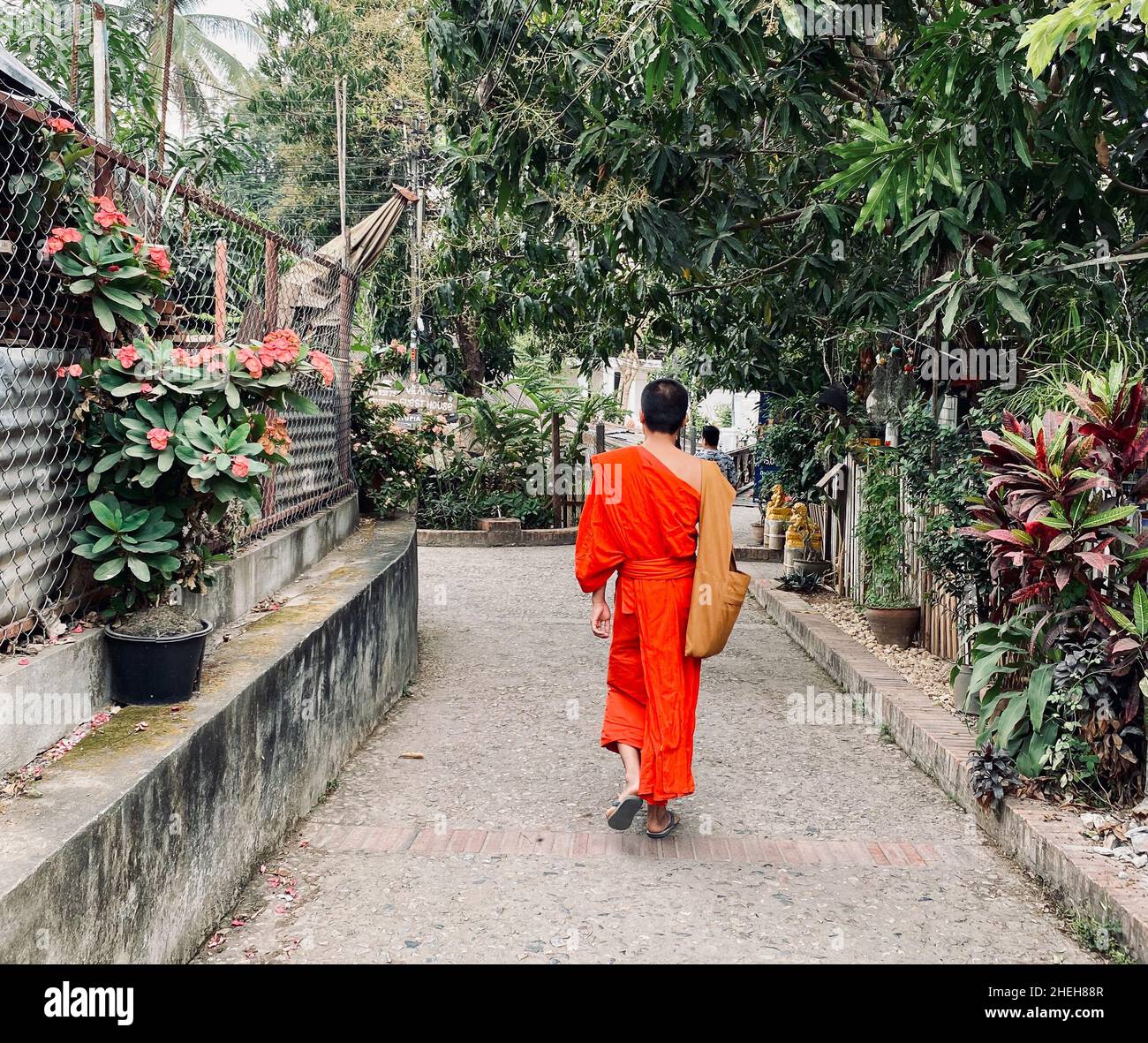 Luang Phrabang, Laos - Feb 5, 2020. Monks walking on street in Luang Phrabang, Laos. The city was the capital of the kingdom of Laos for thousands of Stock Photo