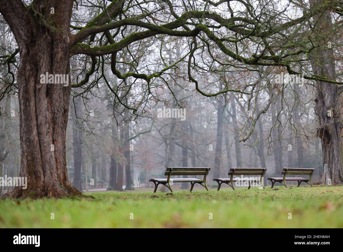 Three empty park benches hi-res stock photography and images - Alamy