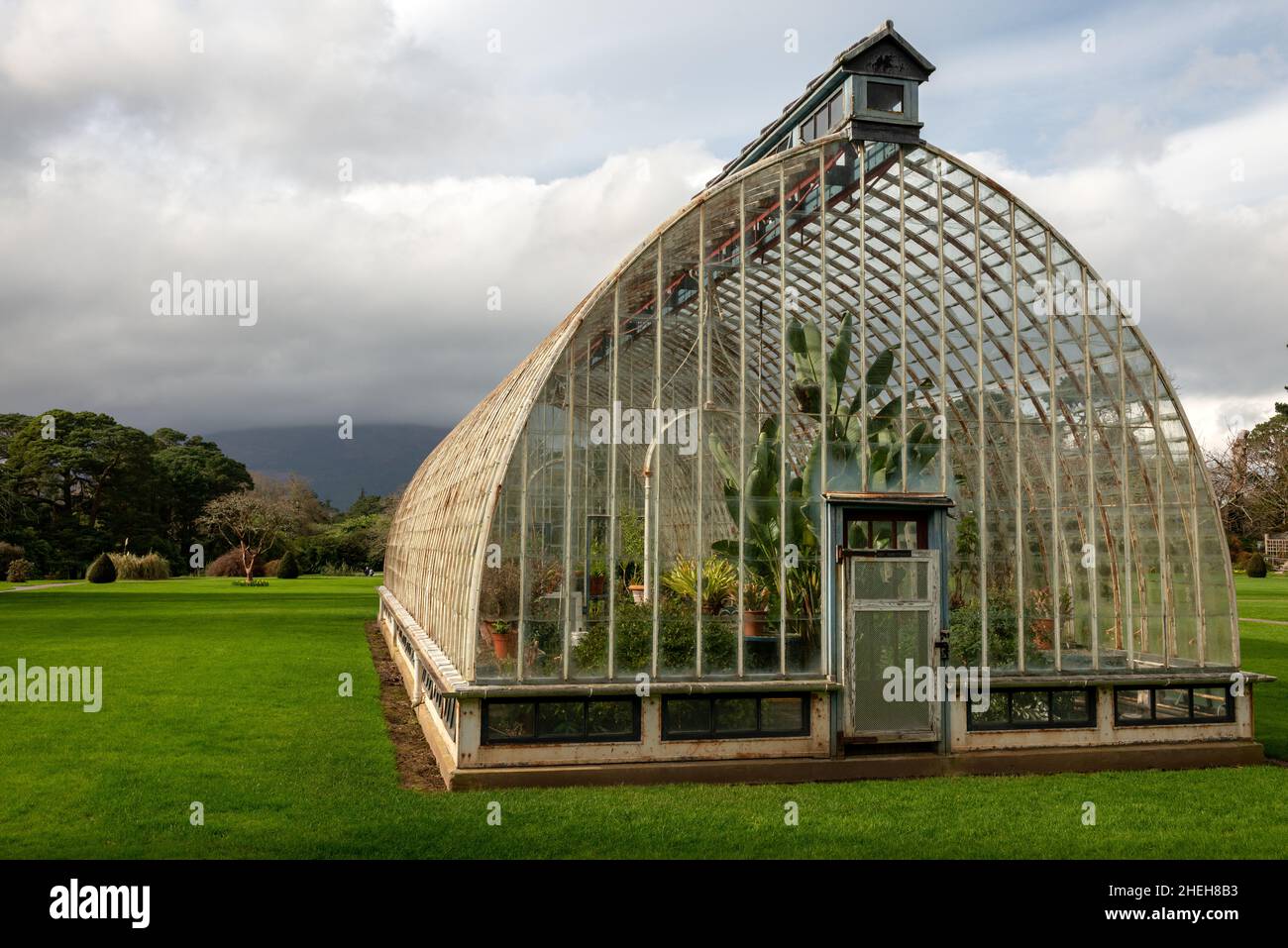 The Muckross Gardens picturesque Edwardian greenhouse glasshouse with its exotic flowers and plants. Botanical hothouse Ireland. Stock Photo