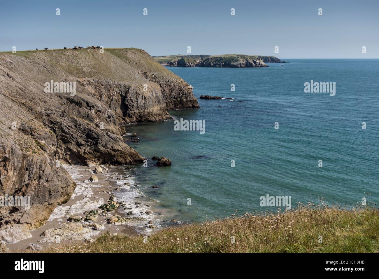 Rocky coastline, near Penally, South Pembrokeshire, Wales Stock Photo