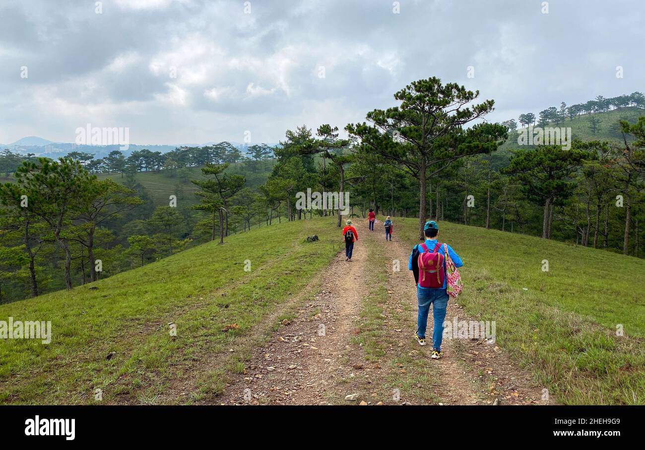 Dalat, Vietnam - May 23, 2020. People trekking on the trail leading up to the grassy hill, surrounded by pine forest. Stock Photo