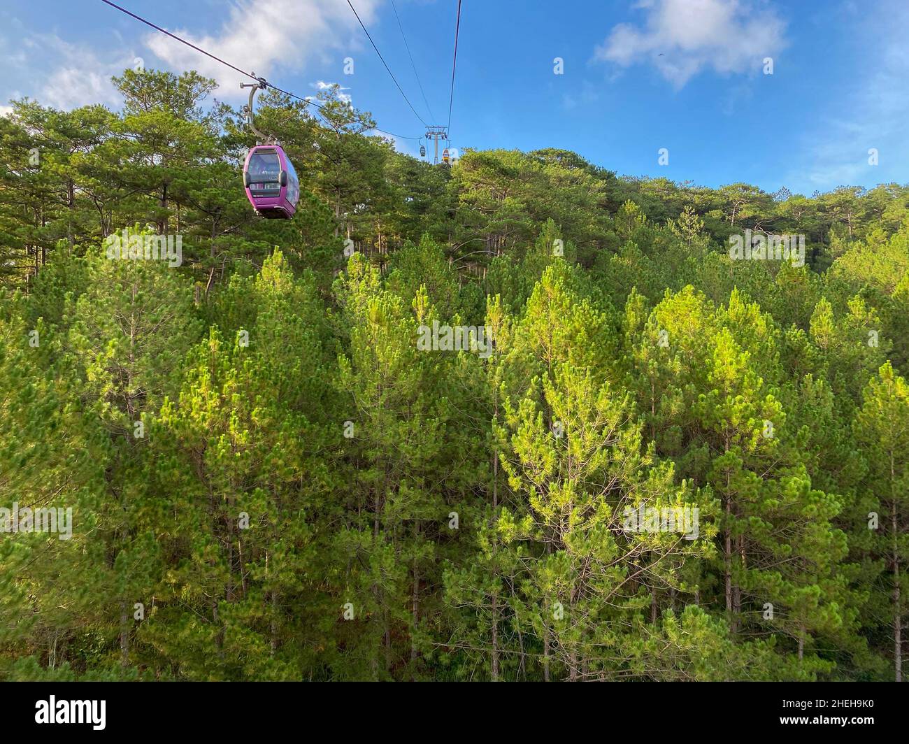 Aerial view of pine tree forest in Dalat Highland, Vietnam. Stock Photo