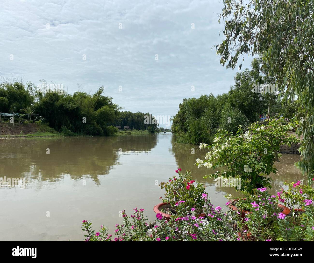 River scene with tropical forest in Mekong Delta, Vietnam. Stock Photo