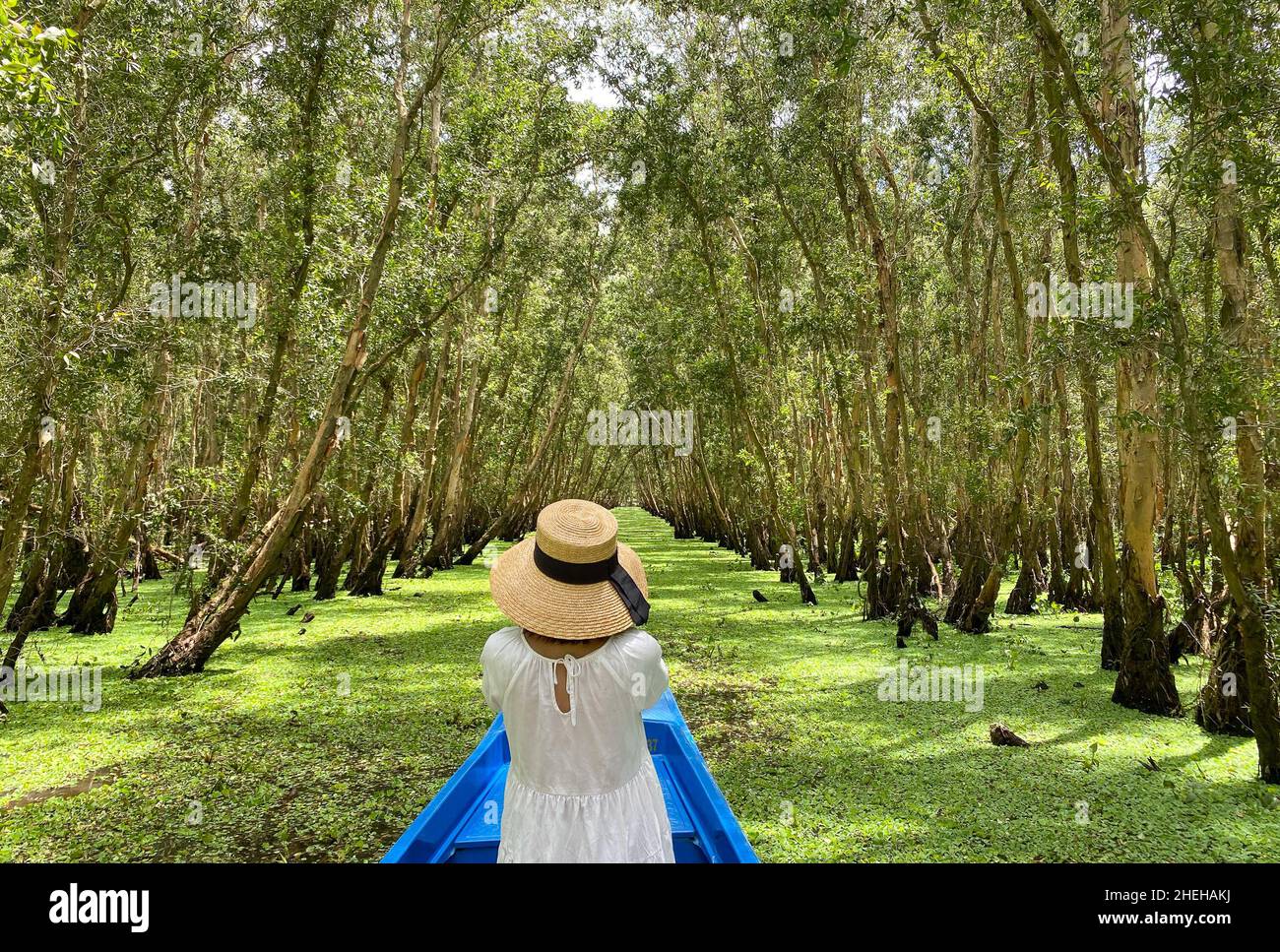 Woman standing on a boat going in the rainforest in Mekong Delta, Vietnam. Stock Photo