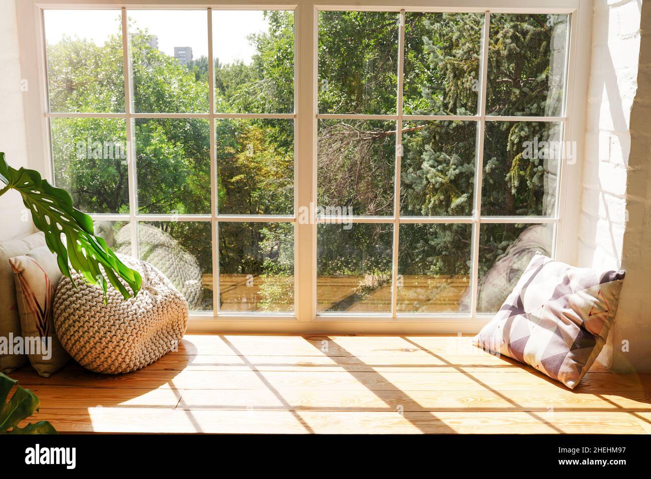 Cozy window sill with monstera and pillows indoors. Sunlights in home