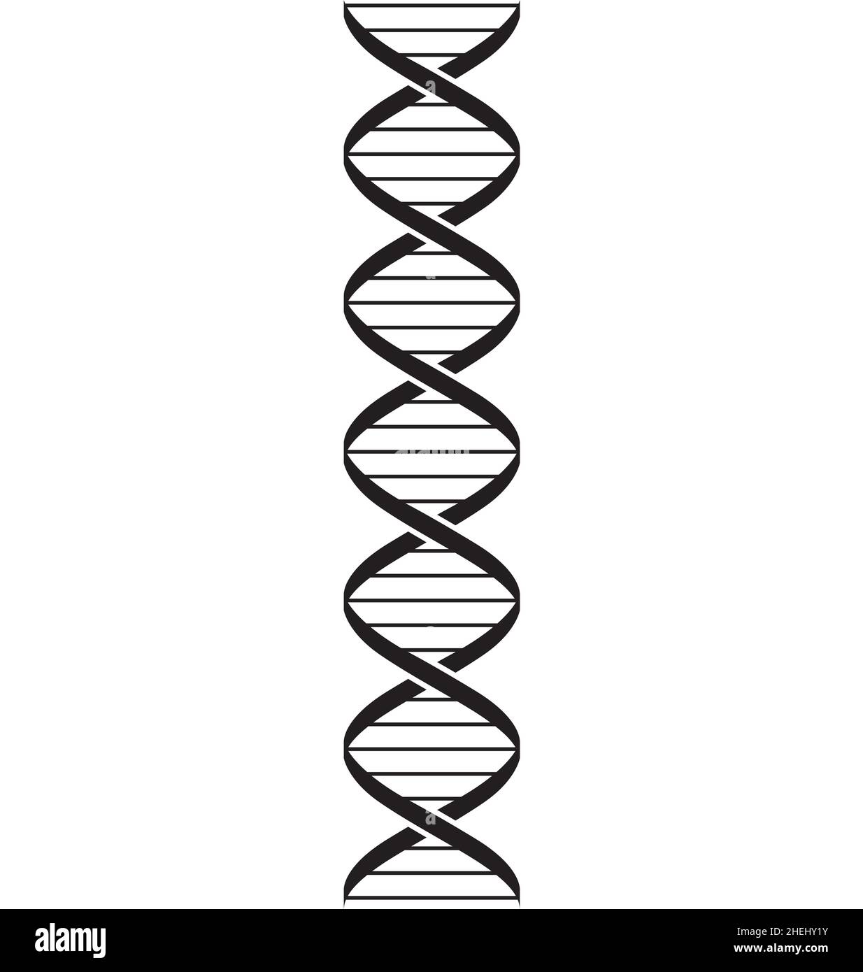 dna strand double helix icon element simplified black isolated on white background vector Stock Vector
