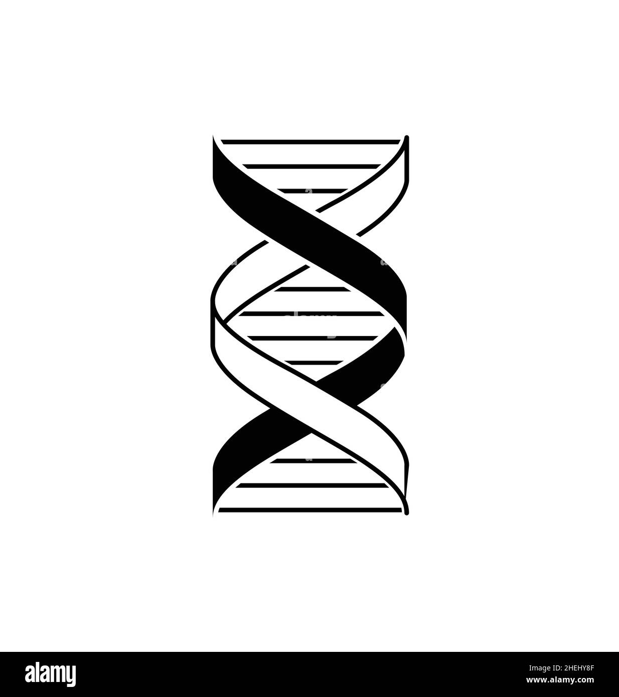 dna strand double helix segment icon element simplified black and white isolated on white background vector Stock Vector