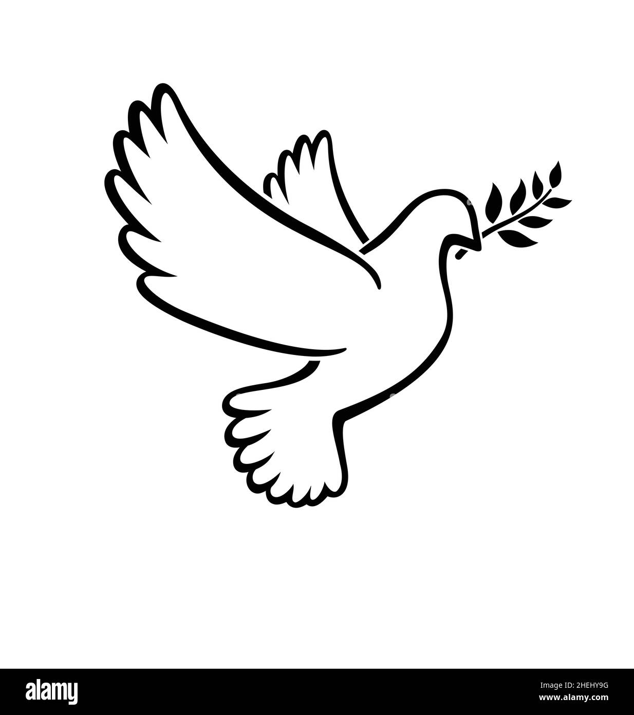 beautiful flying white peace dove pigeon bird outline with olive branch silhouette vector isolated on white background Stock Vector