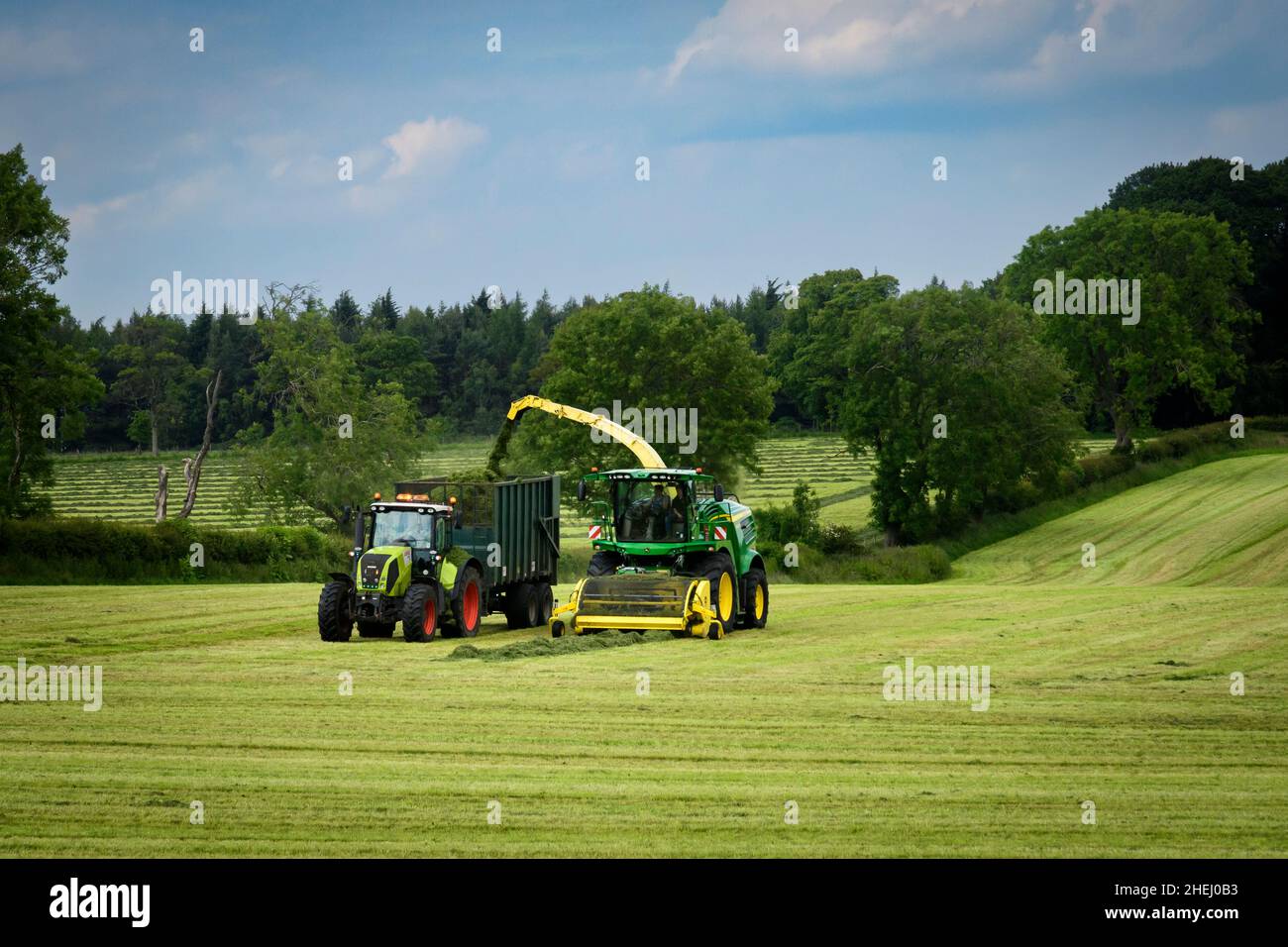 1 Claas tractor haymaking, working in farm field, driving with John Deere forage harvester filling trailer (cut grass silage) - Yorkshire, England UK. Stock Photo