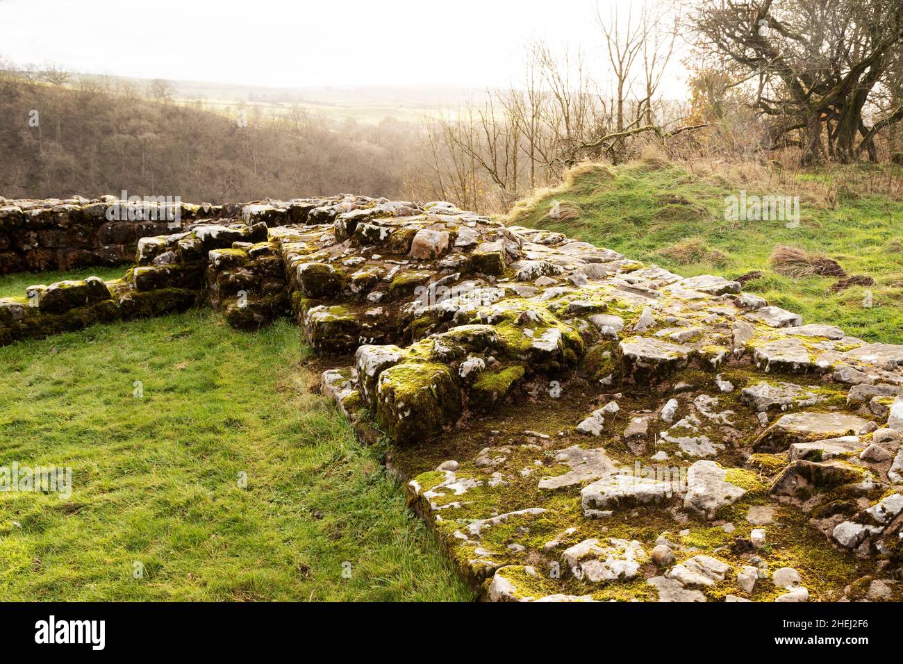 Moss and lichen on stones at Harrows Scar Milecastle on Hadrian's Wall in Cumbria, England. The ancient monument is part of the Frontiers of the Roman Stock Photo