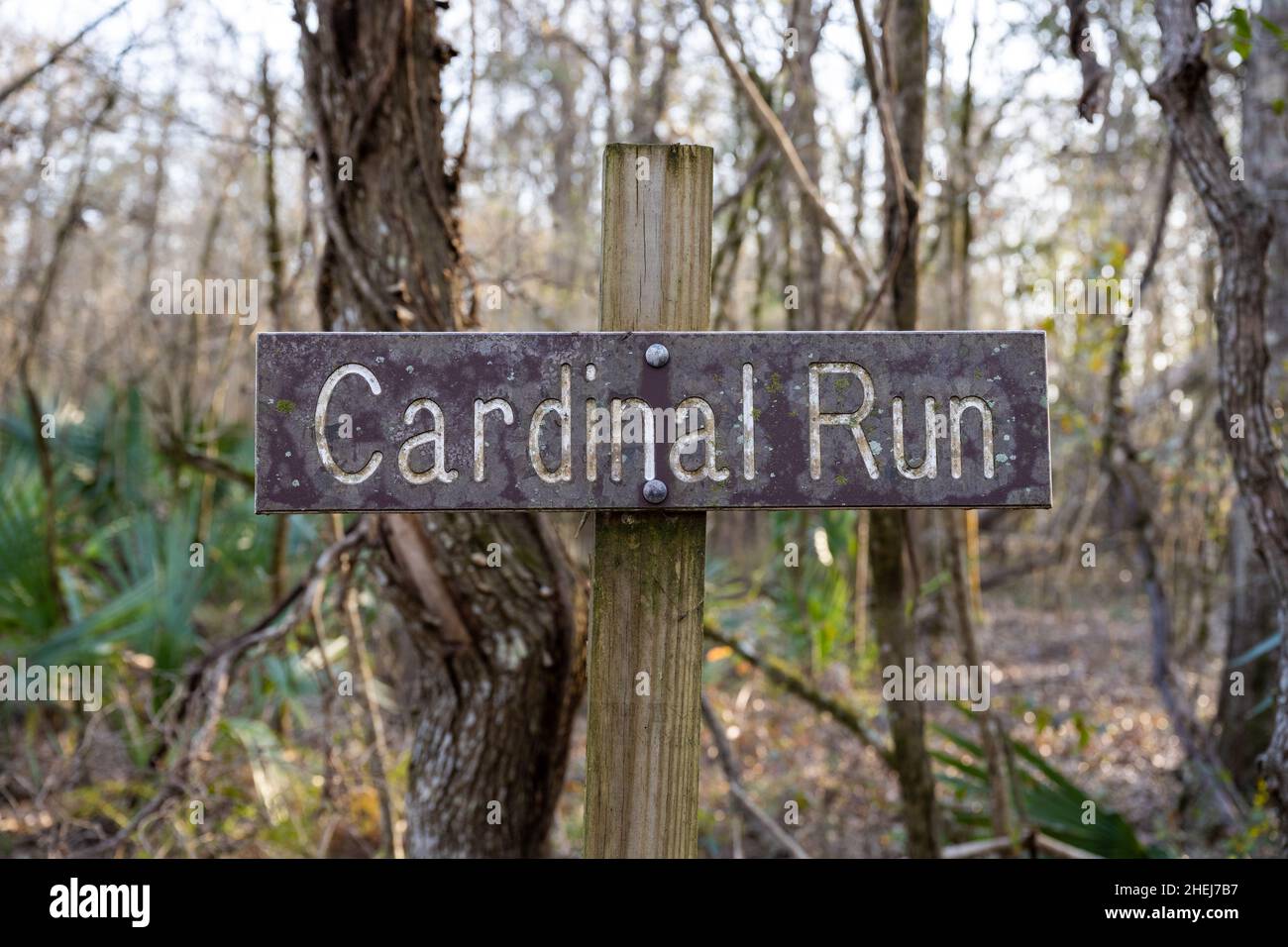 Cardinal Run Trail Sign in Lake Fausse State Park Stock Photo - Alamy