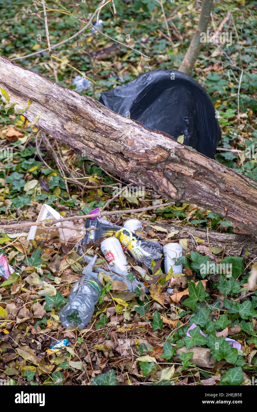 Black bin bags, cans and plastic illegally dumped in woods. Fly tip in the Dollis Valley Greenwalk protected area, Barnet, London, UK Stock Photo