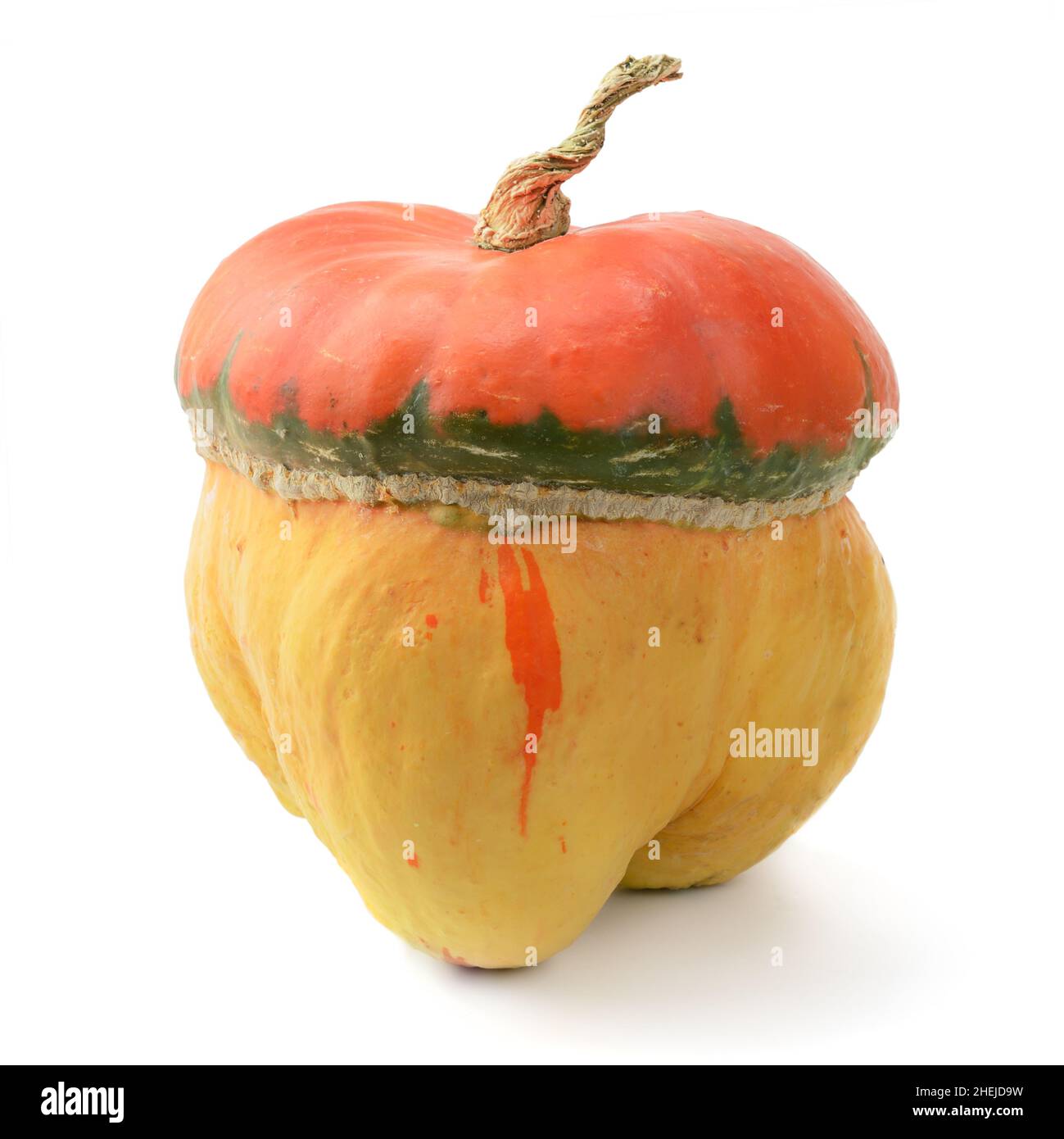 collection pumpkin isolated on white background Stock Photo - Alamy