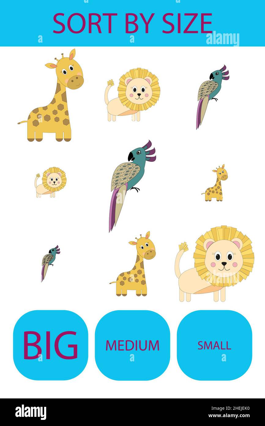 Match the animals giraffe, lion, parrot by size large, medium and small ...